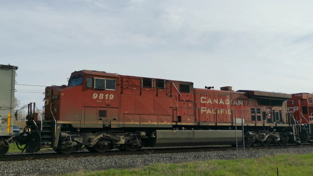 CP 9819